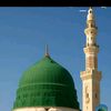 qasim.brand06