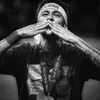 neylam34