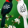 diallo.fatima40
