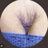 beckyjonesminge