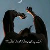 payri557