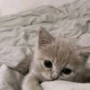 x._.mimi29