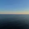 dxnise.b