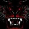 khaled.zarari