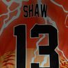 terrenceshaw24