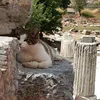 ancientcitykitty4
