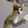 user198014041612