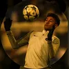 dlzim77