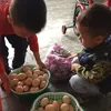 shopbaobaotiktok