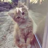 daisy.play.with.me