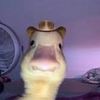 user7270501980135