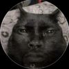 sharkgod29_