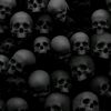 avshya666