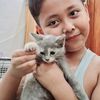 cat.meong10