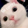 chanbeduuu3