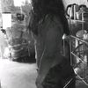 andreadiaz036