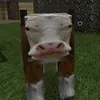 fusnufndu1