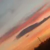 madda_p_5