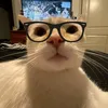 hehe9700