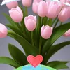 dn.ty.ninh0