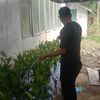d43nk.kamal