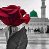 wan.amnah.aryani