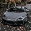 reallywhyguy