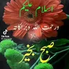 shaheen.akhtar019