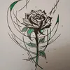 user79530985028047