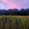 lenkaalenka46