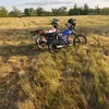 _romashka_solo
