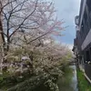 joyhilary35