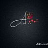 aliyn.has