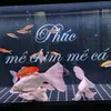 Phúc. mê Chim. mê Cá