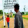chandana.jayasoor11