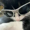 iluv_cats12340