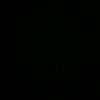 clippers_555