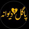 nadan.zebi
