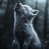 vll_00208