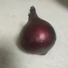 onion_761