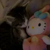 milica.milinkovic78
