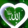 user1137788887901