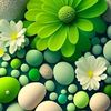 shayan.khan9066