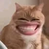 vy.mnhah