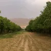 fizikk_954
