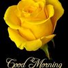 aamer.shoaib2