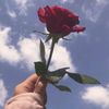 hafsa03703