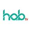 HAB TV UK