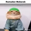 youssufioo