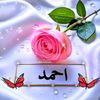 alking29587